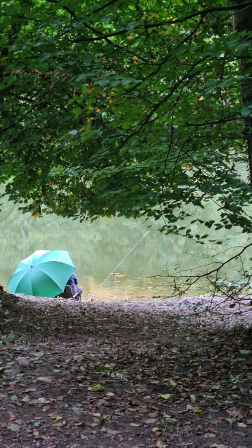 Bed and Breakfast Wye Rapids House Symonds Yat Exteriér fotografie