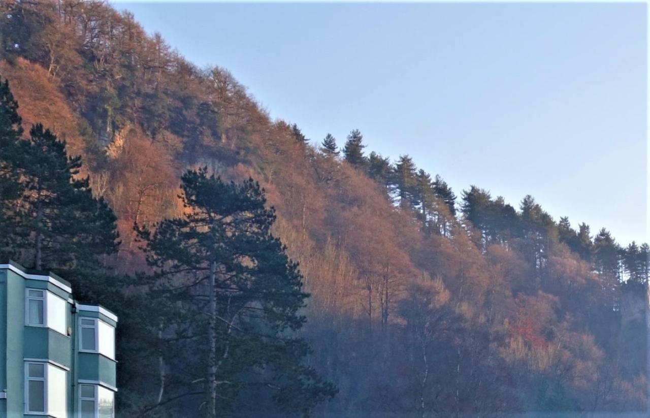 Bed and Breakfast Wye Rapids House Symonds Yat Exteriér fotografie